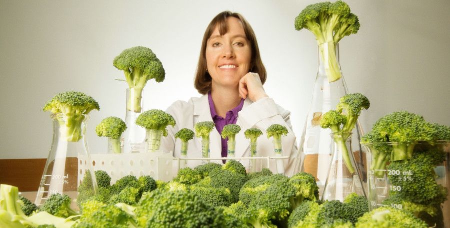 Broccoli could be
