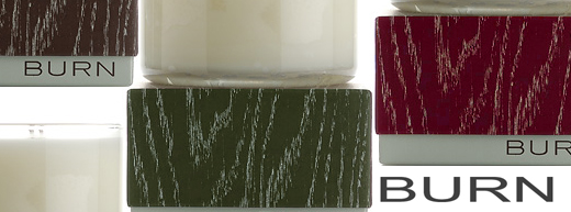 Burn Logo