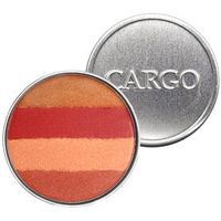 Cargo  on white background
