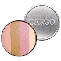 Cargo  on white background