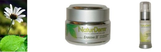 NaturDerm Logo