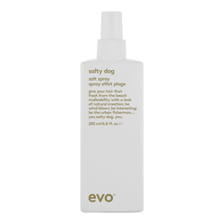 Salty Dog Salt Spray on white background