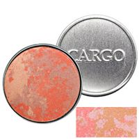 Cargo  on white background