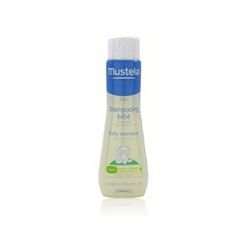 Mustela  on white background