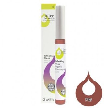 Juice Beauty Reflecting Gloss - Fig - 0.28oz Juice Beauty on white background