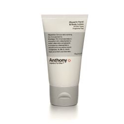 Anthony Logistics  on white background