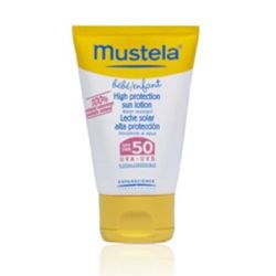Mustela  on white background
