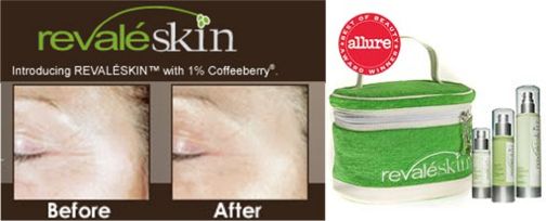 Revaleskin Logo